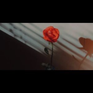 Meet your Posher, Kylie